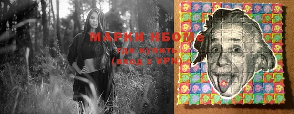 apvp Бородино