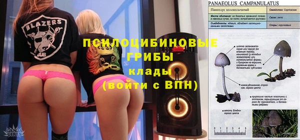 тгк Покров