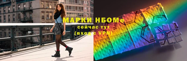 apvp Бородино